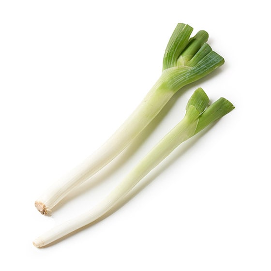 �Â݂Ǝ|�݂��l�܂��� �~�j�˂�(��錧�Y)