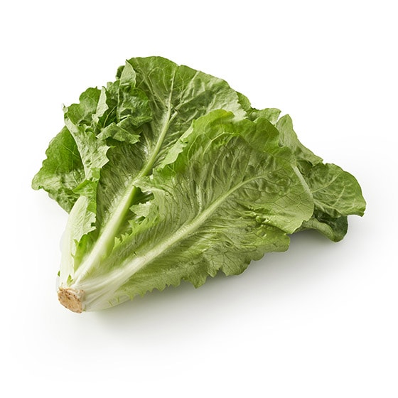 ���ł��u�߂Ă��I�����C�����^�X(��錧�Y)