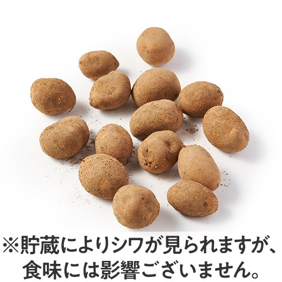 ����T�C�Y�I�~�j�I���Ⴊ����(�C���J�̂߂���)