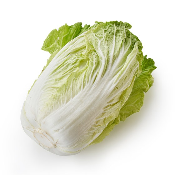 春白菜 1kg100円 50kgから 甘くみずみずしい 春白菜(1玉 茨城県産)|有機野菜 通販 Oisix