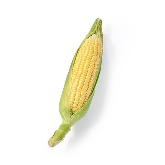 �����𗁂тĈ���� �Ƃ����낱��(���茧�Y)