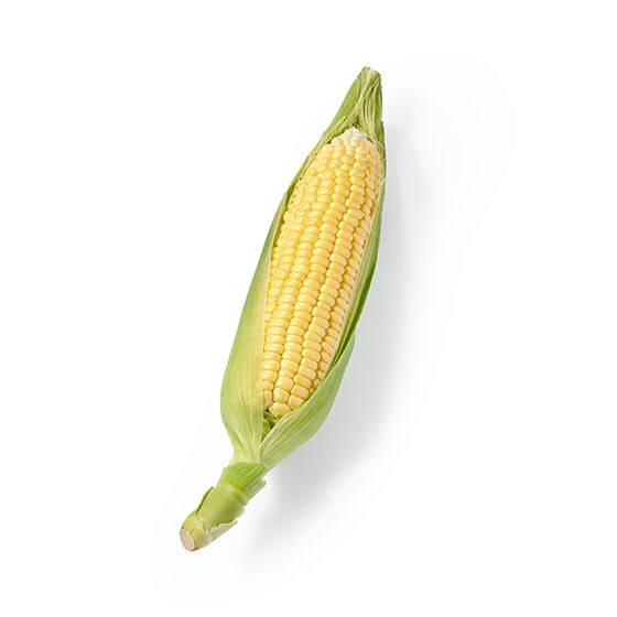 �����𗁂тĈ���� �Ƃ����낱��(���茧�Y)
