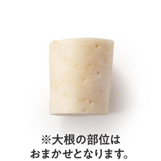 �y�g������z�卪���낵�łǂ����I�L�@�͔|�J�b�g�卪