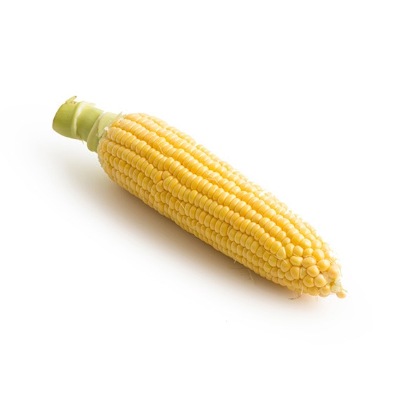 �Ă̂���ɁI�Â݂����Ղ�Ƃ����낱��(�Q�n���Y)
