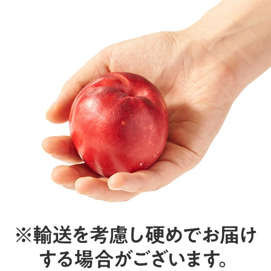 �炲�Ƃǂ����I�T���V���C���s�[�`(�l�N�^���� CA�Y)