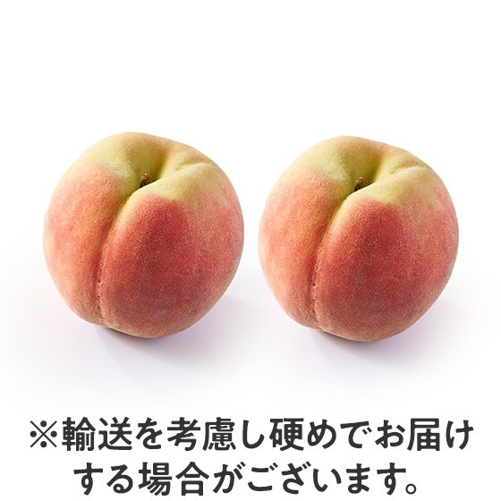 ��������Â� ���J���s�[�`(2�� ���쌧�Y)