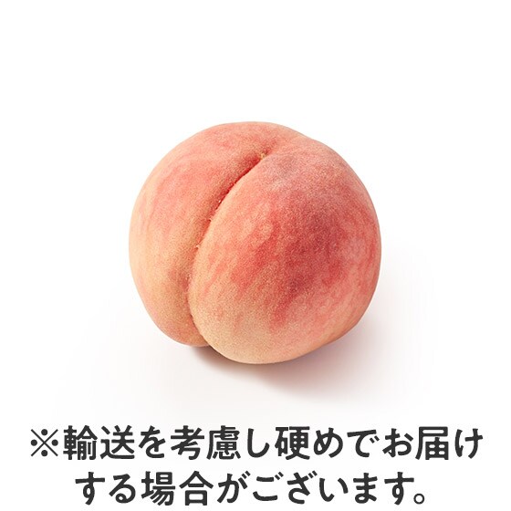 ��������Â� �Ïn��ʓ�(���쌧�Y)