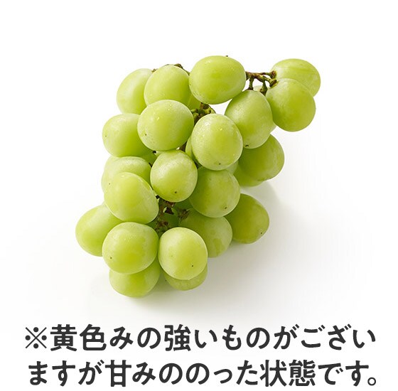 ���X�����Â��I�킵�̃V���C���}�X�J�b�g(���쌧�Y)