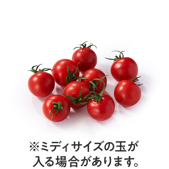 �y��������Oisix�z��e�ʕs������M�g�}�g(��t���Y)