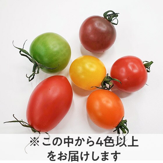 きらきらジュエルトマトBOX(800g 千葉県産)|有機野菜 通販 Oisix
