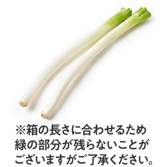 �u�₩�ȍ��� �^���̒��˂�(�Ȗ،��Y)
