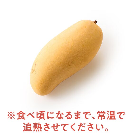 68.タイ産甘いグリーンマンゴー12~1８玉入り箱込5kg グリーンマンゴー 18個入りケース (S) 【タイ産】MR – フィリピン食品