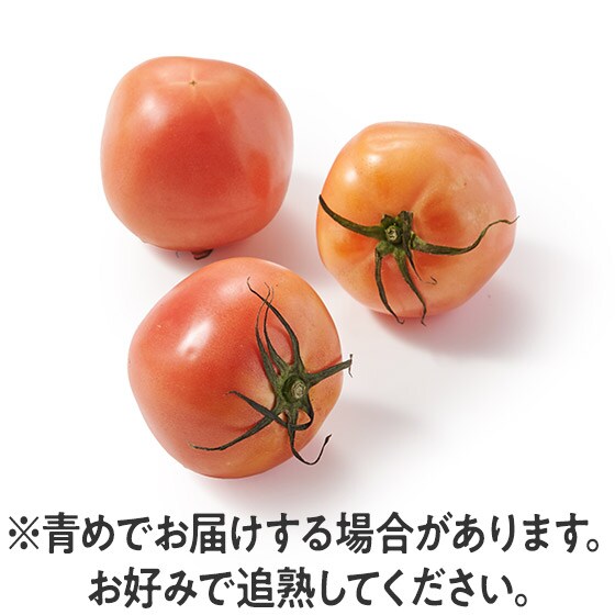 �����W���[�V�[ �Ď|�g�}�g(��t���Y)