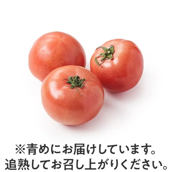 �|�݂̂��閡�킢 �����g�}�g(�V�����Y)