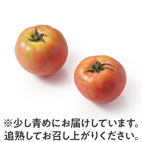 �u�₩�Ȗ��킢 �����g�}�g(�F�{���Y)