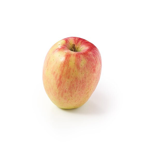 ��i�ȊÂ݂Ǝ_�� �V�i�m�h���`�F(��� ���쌧�Y)