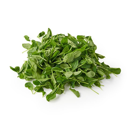 �y�p�b��Vege�z�T���_��X�[�v�ɁI�x�r�[������