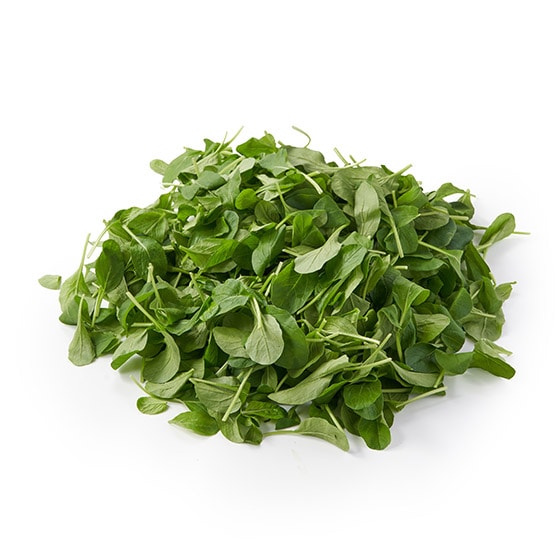 �y�p�b��Vege�z�y��e�ʁz�x�r�[������