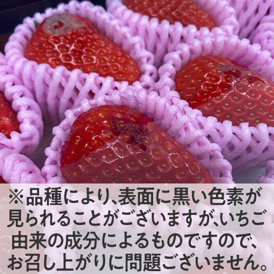 いちごです！ 厳選収穫！輝く深紅の宝石 京のしずくいちご|有機野菜 通販 Oisix