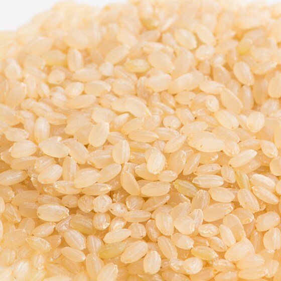 �������� ���Ɍ��O�g�Y(����)2kg