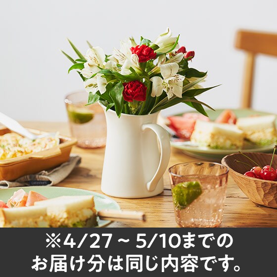��̓��J�[�h�t���t�����[�A�\�[�g�i��25cm��j