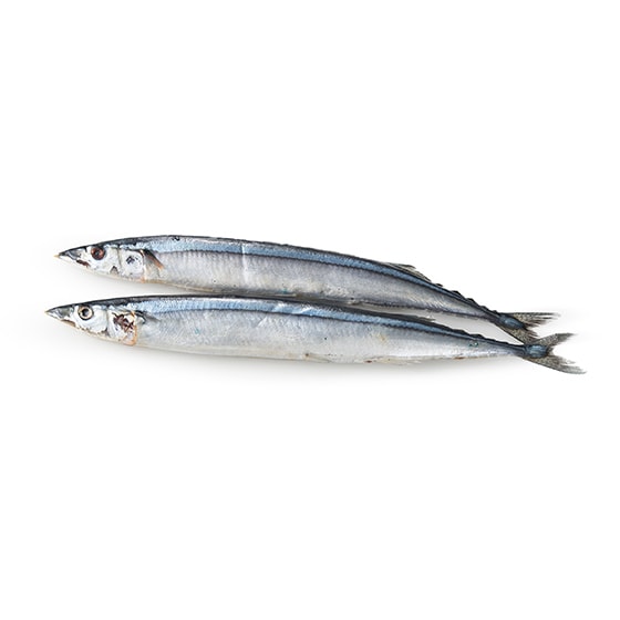 さんま 2枚おまとめ 土日お届け限定】気仙沼産「極上生さんま」10~20尾（約1.3~2.6kg