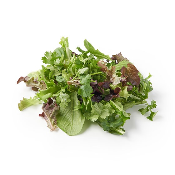 �y�p�b��Vege�z�p�N�`�[����G�X�j�b�N�T���_�Z�b�g