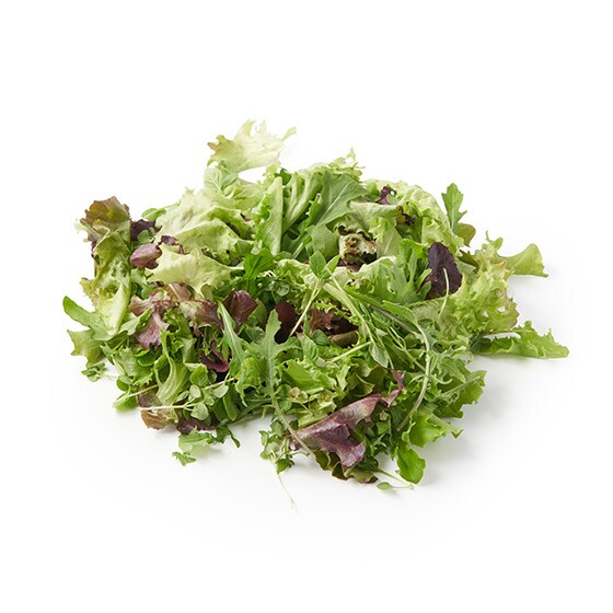 �y�p�b��Vege�z�������邳���ς�a���T���_�Z�b�g