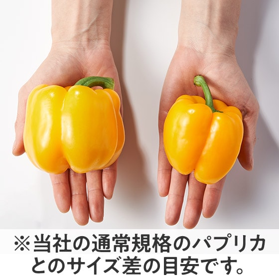 横綱パプリカ(黄 宮城県産)|有機野菜 通販 Oisix(おいしっくす)