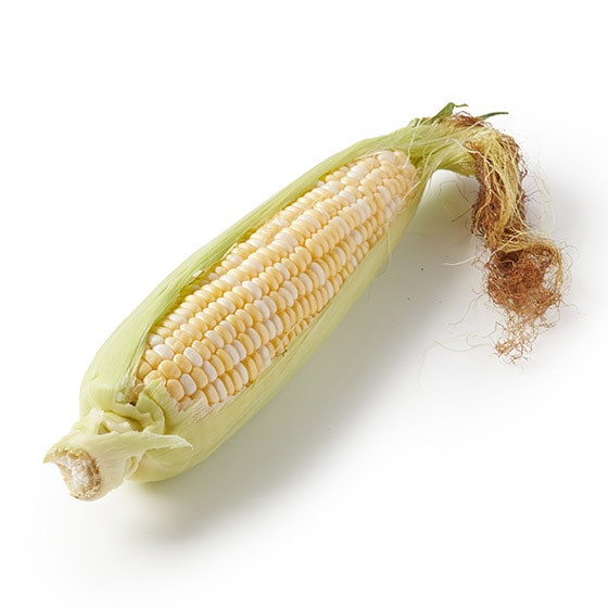 �Ղ����Ƃ͂�����I�Â݂Ƃ����낱��(�k�C��)