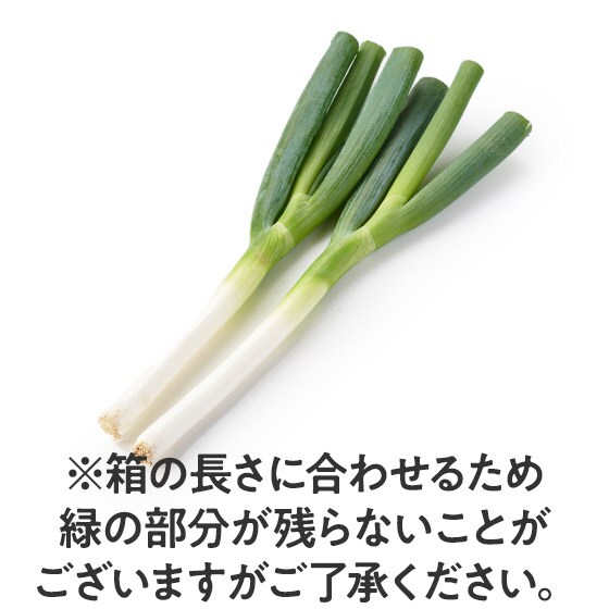 �_�炩���Â݂̂��� �����˂�(���˂� �V�����Y)