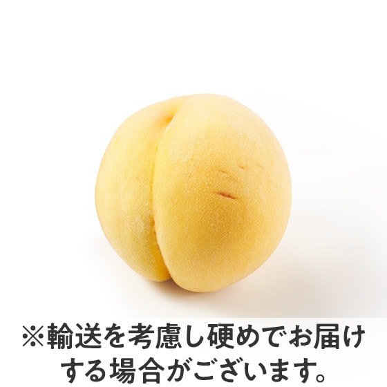 �k���ȉʓ��ɊÂ��Ïk ������(���쌧�Y)