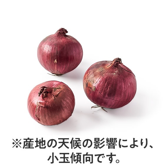 �T���_��s�N���X�ɁI�L�@�͔|�ԋʂ˂�(�k�C���Y)