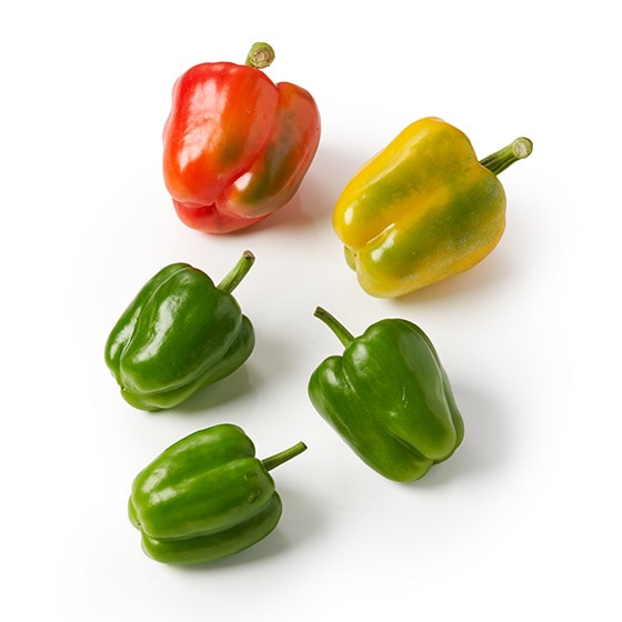 �y��������Oisix�z��e�ʃp�v���JMIX(�{�錧�Y)
