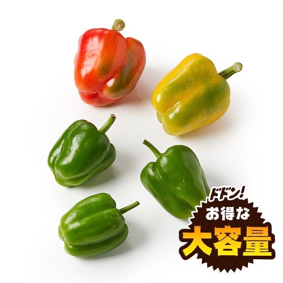 �y��������Oisix�z��e�ʃp�v���JMIX(�{�錧�Y)