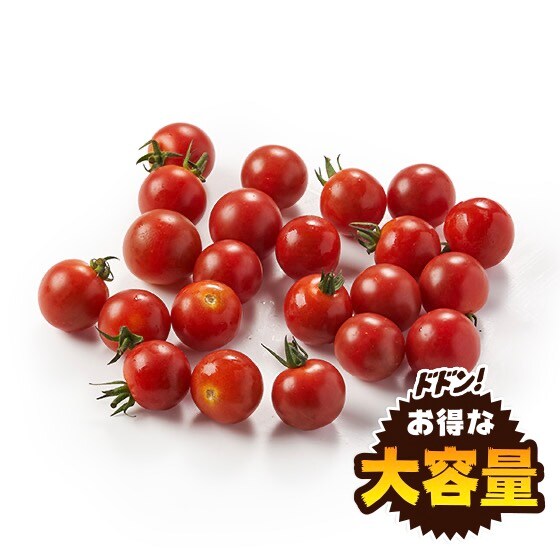 �y��e�ʁz���ٓ���T���_�ɁI�~�j�g�}�g(�F�{���Y)