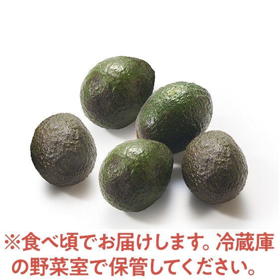 大容量】小玉とろ旨アボカド(メキシコ産)|有機野菜 通販 Oisix