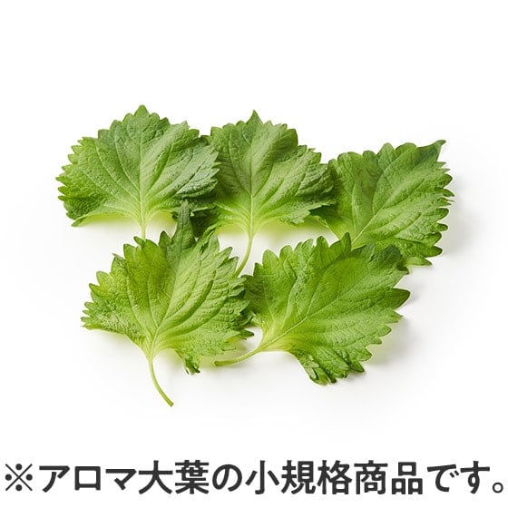 �y�f��Oisix�ʓY�z�S������(��t5�� ��錧�Y)
