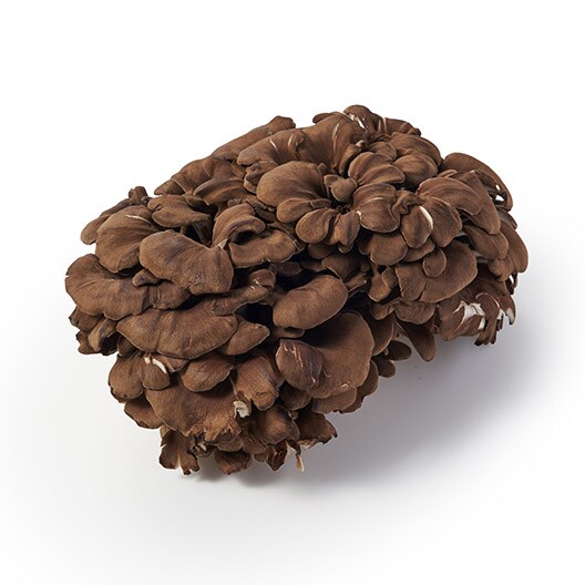 �y���ʁz�Z���Z������(200g ��ʌ��Y)