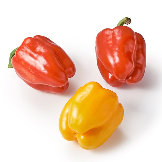 �y��������Oisix�z�y��e�ʁz���j�p�v���JMIX