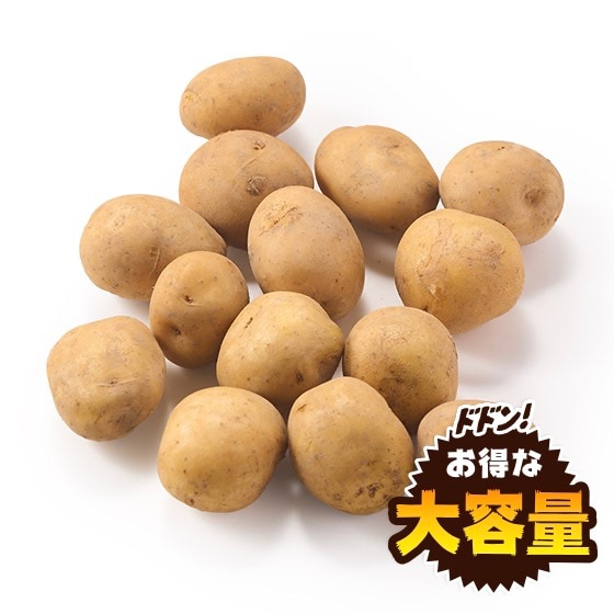 じゃがいも 大容量】旨みを味わう 不揃いじゃがいも(長崎県産)|有機野菜 通販