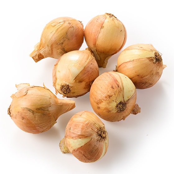 �y��e�ʁz�V���L�Ï����ߋʂ˂�(600g�É����Y)