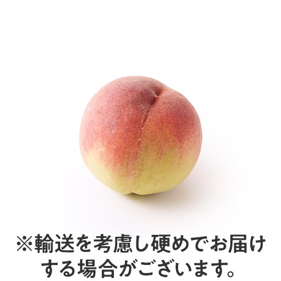�ʏ`�������� �����킹���蓍(�R�����Y)