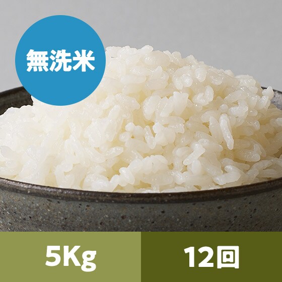 �y2023�N�ė\��z���� �R�`���Y(������)5kg 12��