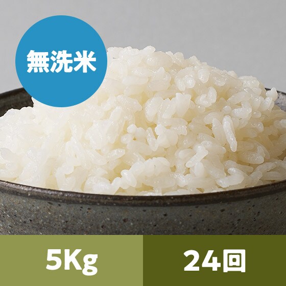�y2023�N�ė\��z���� �R�`���Y(������)5kg 24��