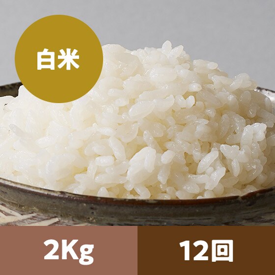 �y2023�N�ė\��z�R�`���ЂƂ߂ڂꔒ��2kg 12��