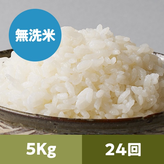 �y2023�N�ė\��z�R�`���ЂƂ߂ڂꖳ����5kg 24��