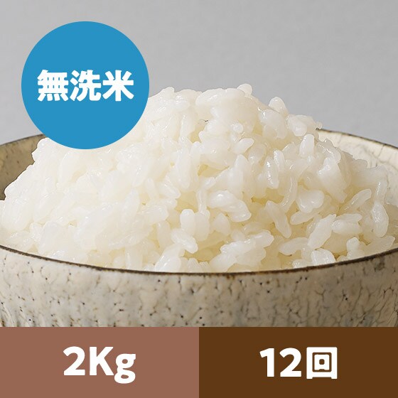 �y2023�N�ė\��z�R�`����P������2kg 12��