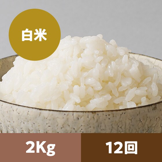 �y2023�N�ė\��z�R�`����P����2kg 12��