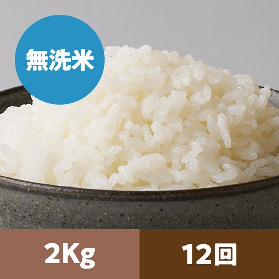 �y2023�N�ė\��z���� �R�`���Y(������)2kg 12��